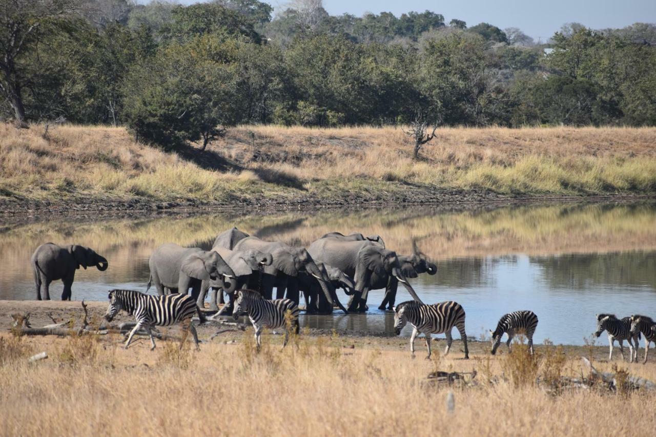 Mzsingitana Tented Camp Hotel Hoedspruit Exterior foto