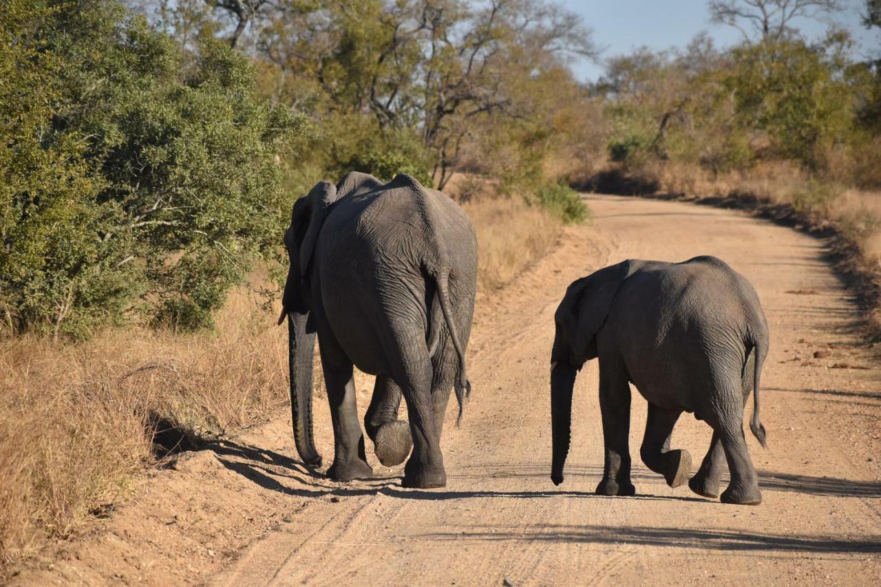 Mzsingitana Tented Camp Hotel Hoedspruit Exterior foto