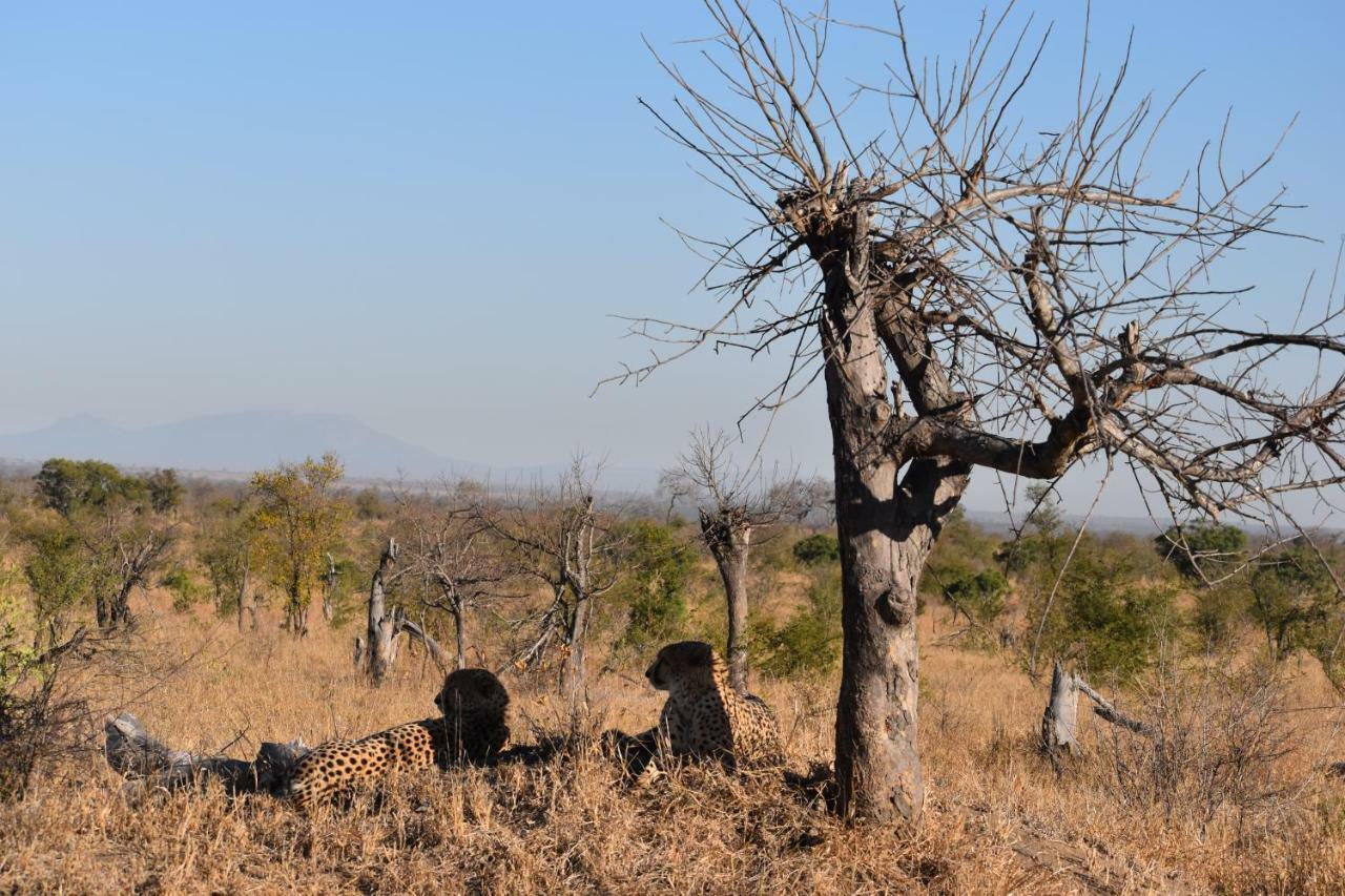 Mzsingitana Tented Camp Hotel Hoedspruit Exterior foto