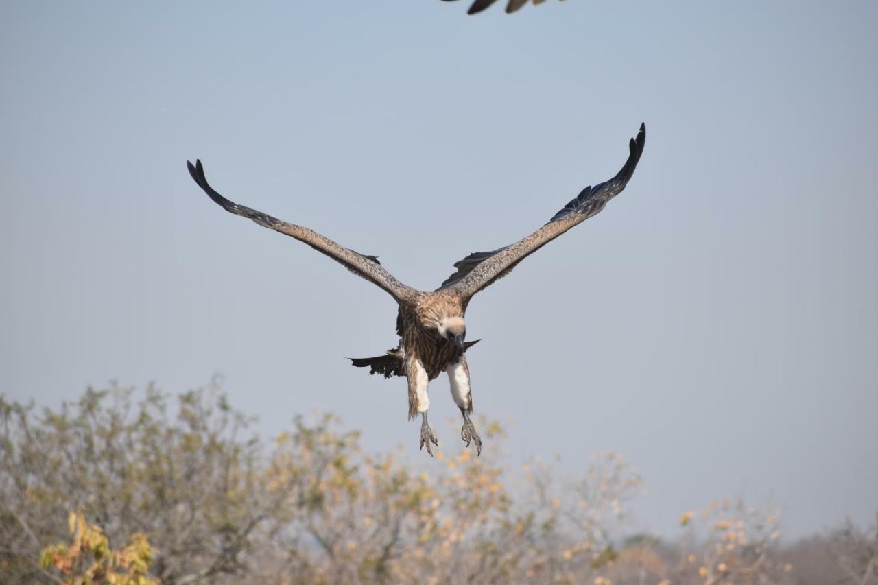 Mzsingitana Tented Camp Hotel Hoedspruit Exterior foto