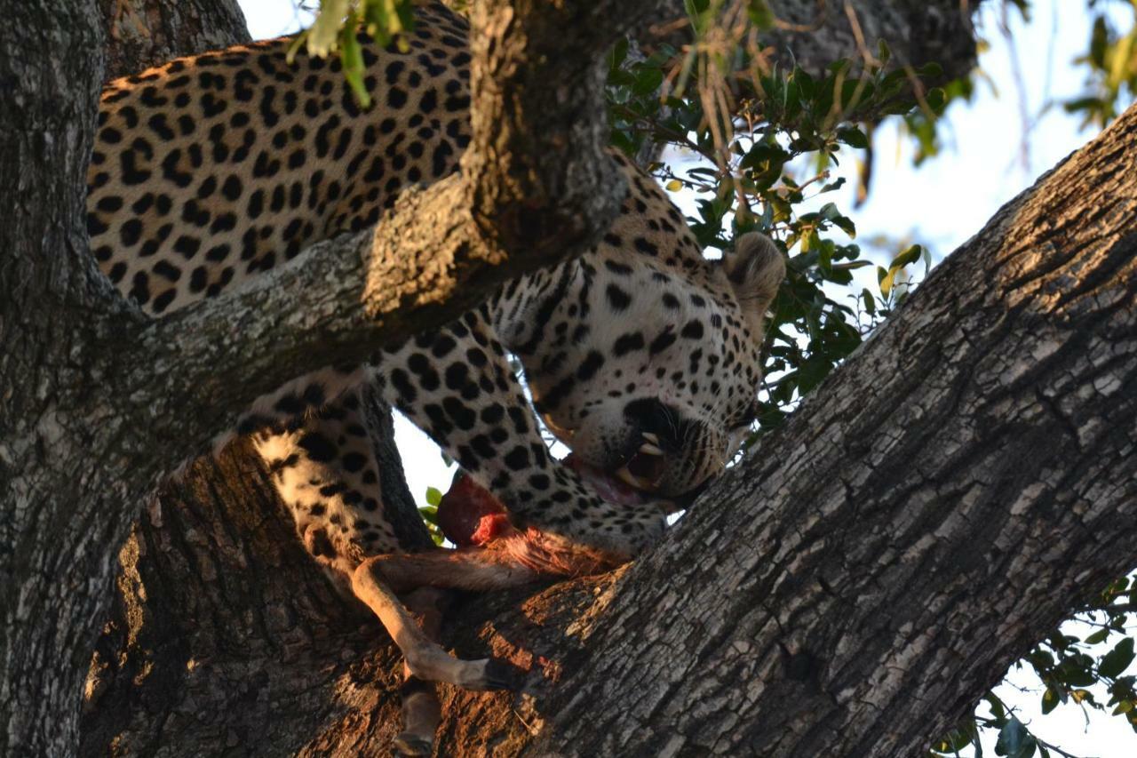 Mzsingitana Tented Camp Hotel Hoedspruit Exterior foto